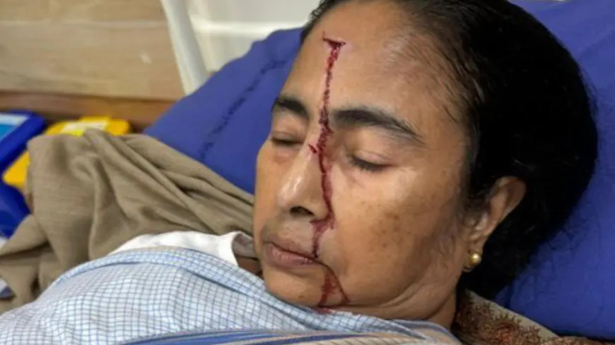 Mamata Banerjee Back Home Post Hospital Care Following Injury From Domestic Fall